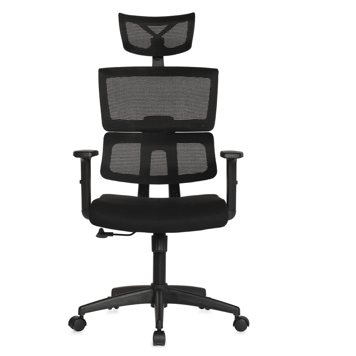 Cadeira Presidente Ergonômica Anima – Cor Preto - 2421